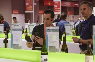 Galería del Vino de FENAVIN