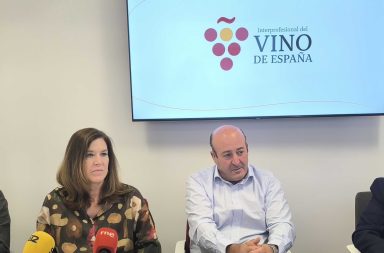 enoturismo y vino desarrollo rural