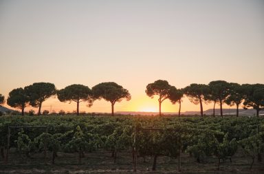 Finca Villacreces sunset