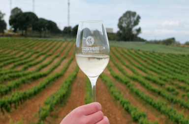 condado de huelva vino naranja