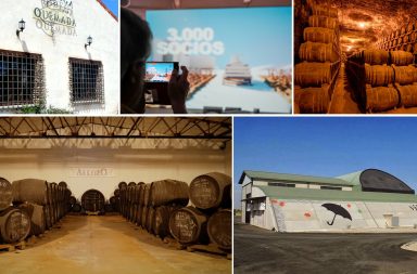 Tomelloso bodegas de La Mancha