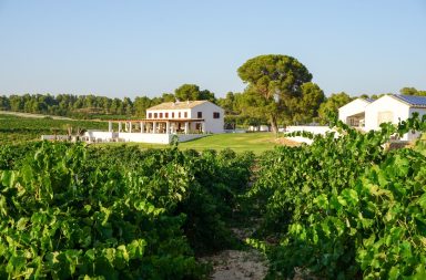 Clos Cor Vi Rquena vendimia