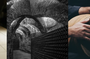 Fudnación MAGA Muriel Wines