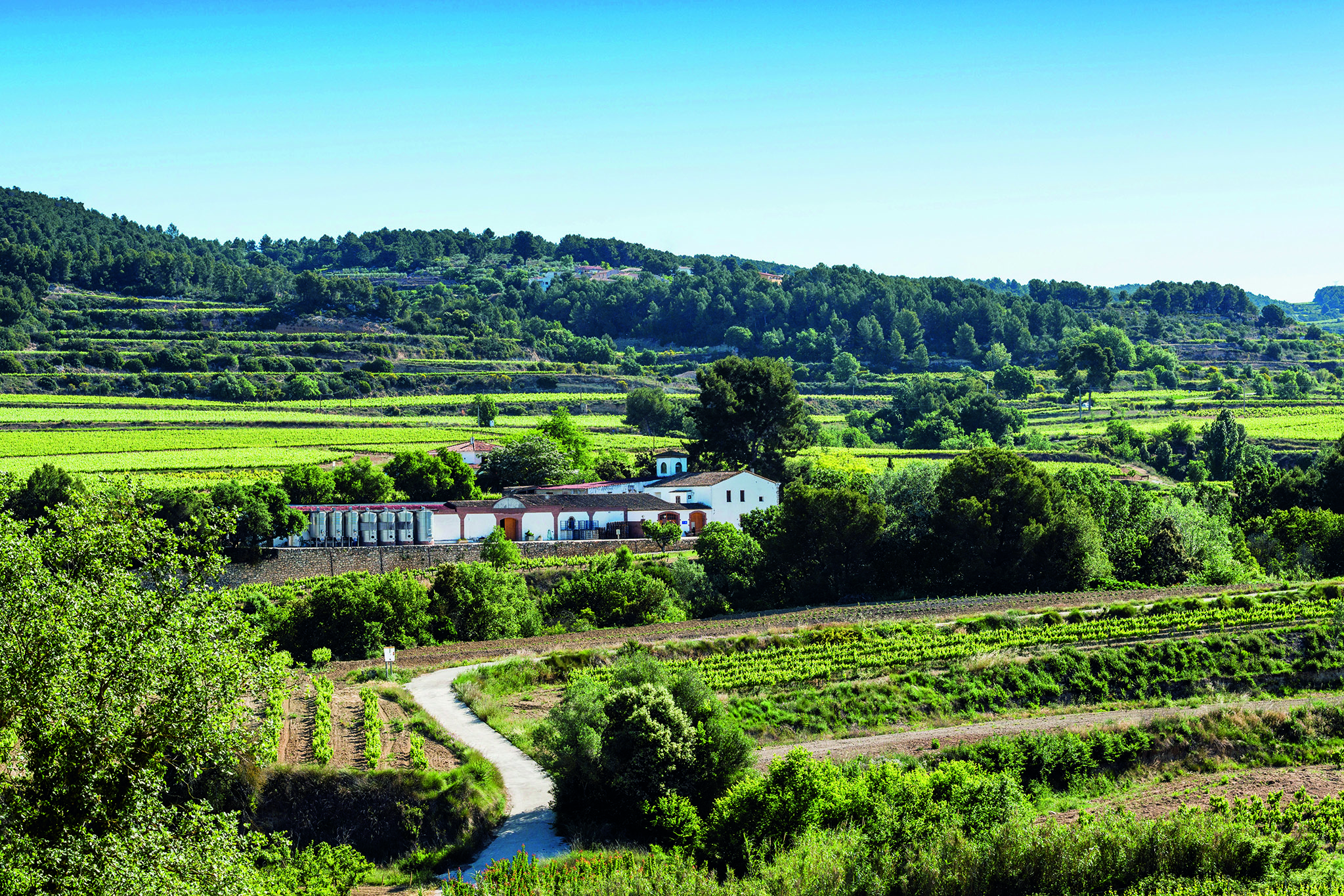 Rutas del Vino de España ACEVIN Premios